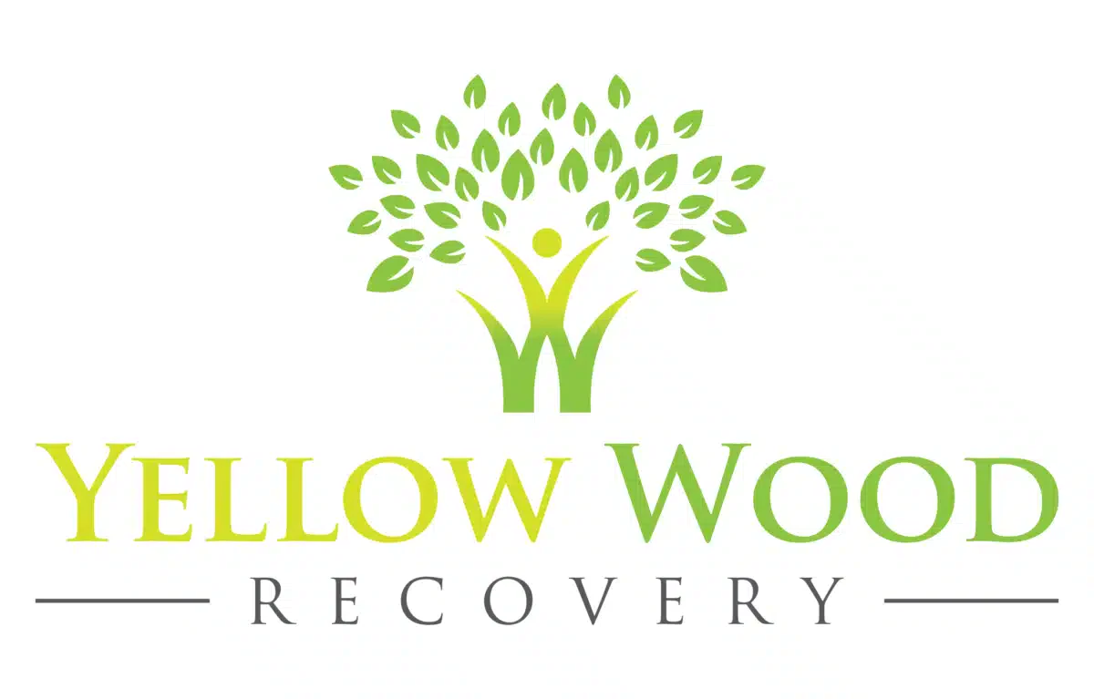 Yellow Wood Recovery - Thumbnail 2