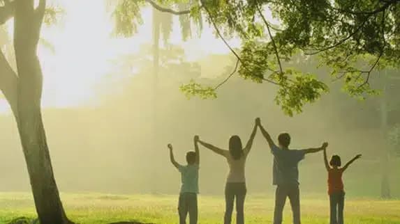 Yellowstone Recovery - Thumbnail 5