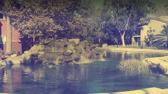 Yellowstone Recovery - Thumbnail 8