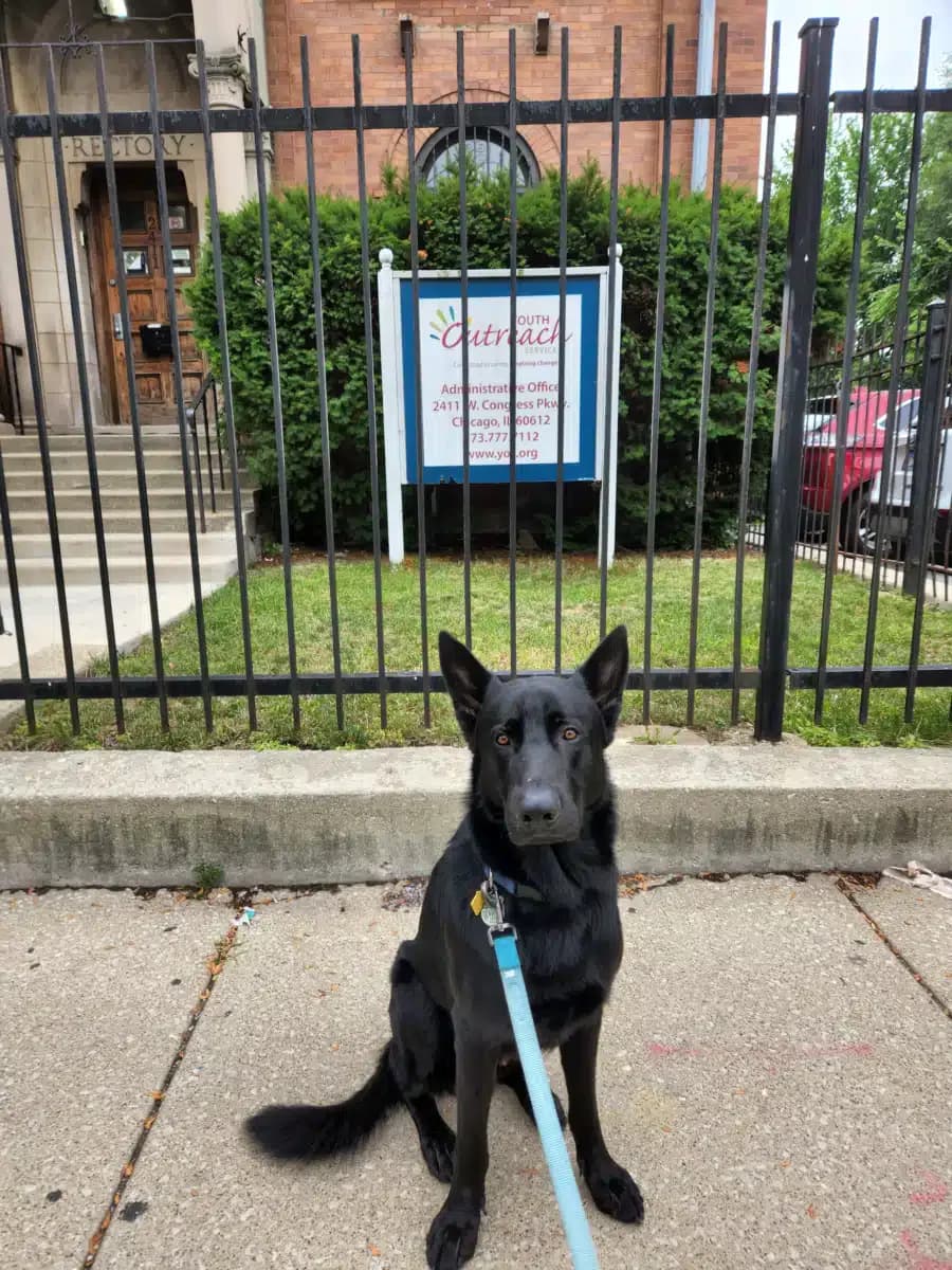 Youth Outreach Services - Thumbnail 4