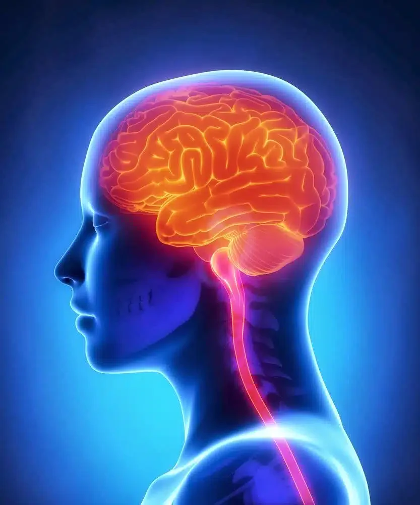 Edgar Pena LMHC CAP and Associates