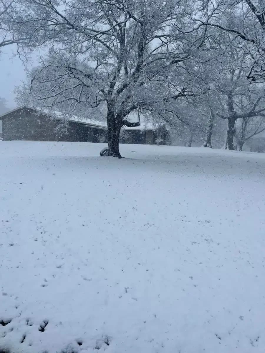 Hollow Creek Treatment Center LLC