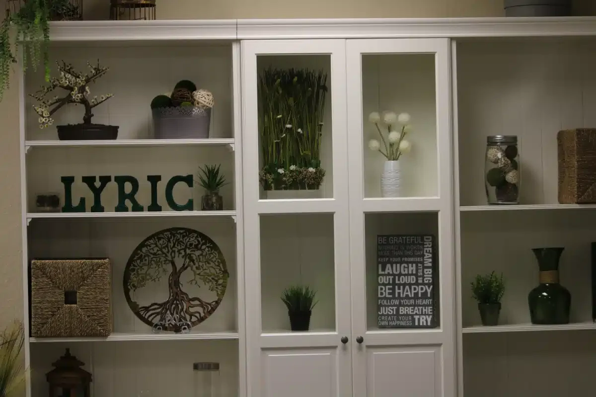 Lyric Recovery Services Inc