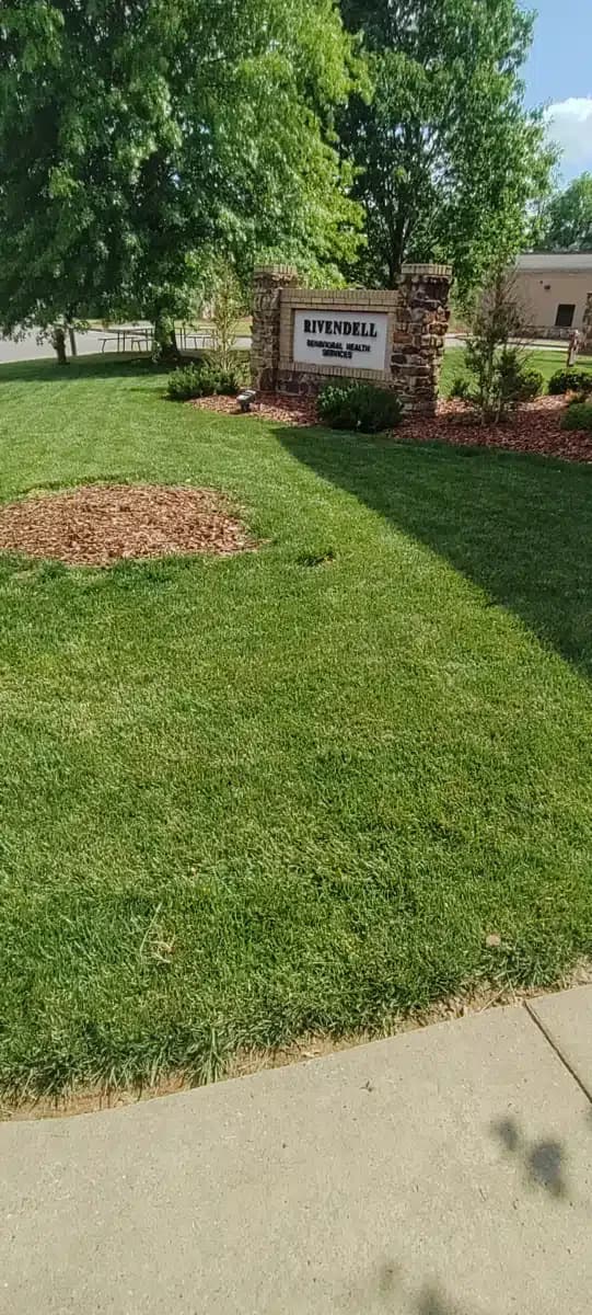 Rivendell Behavioral Health Services