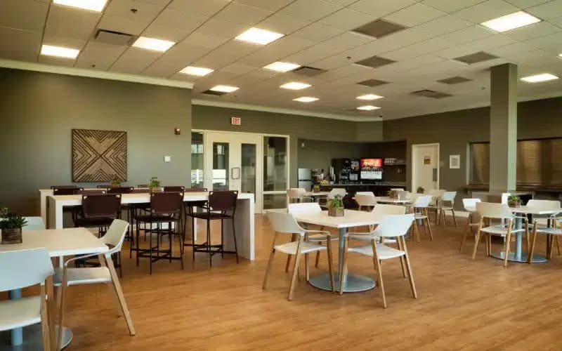 Silver Maple Recovery