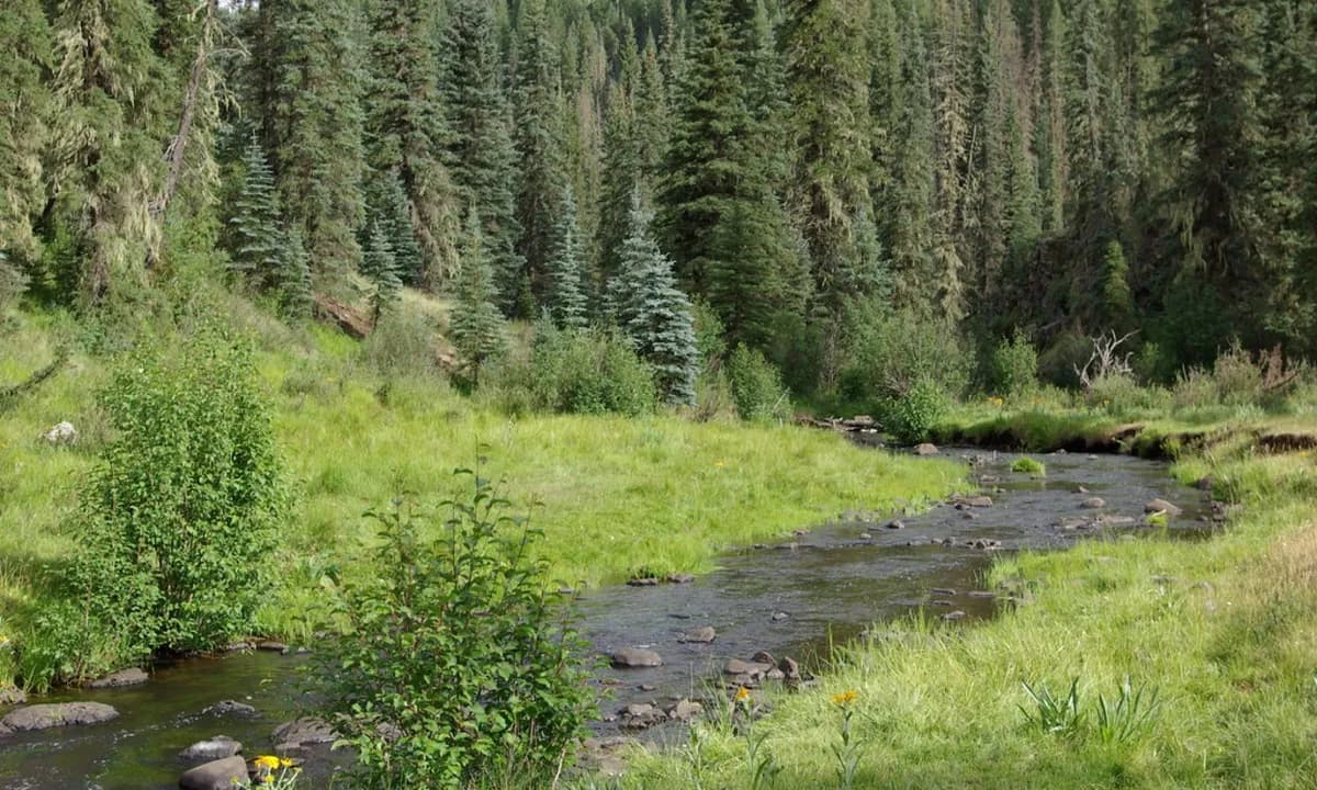 Sober Mountain