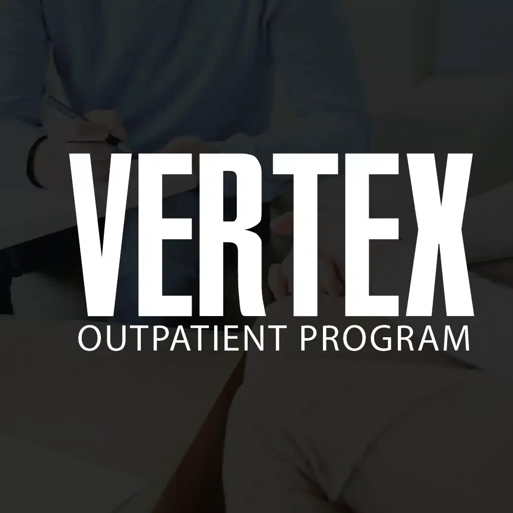 VERTEX LLC