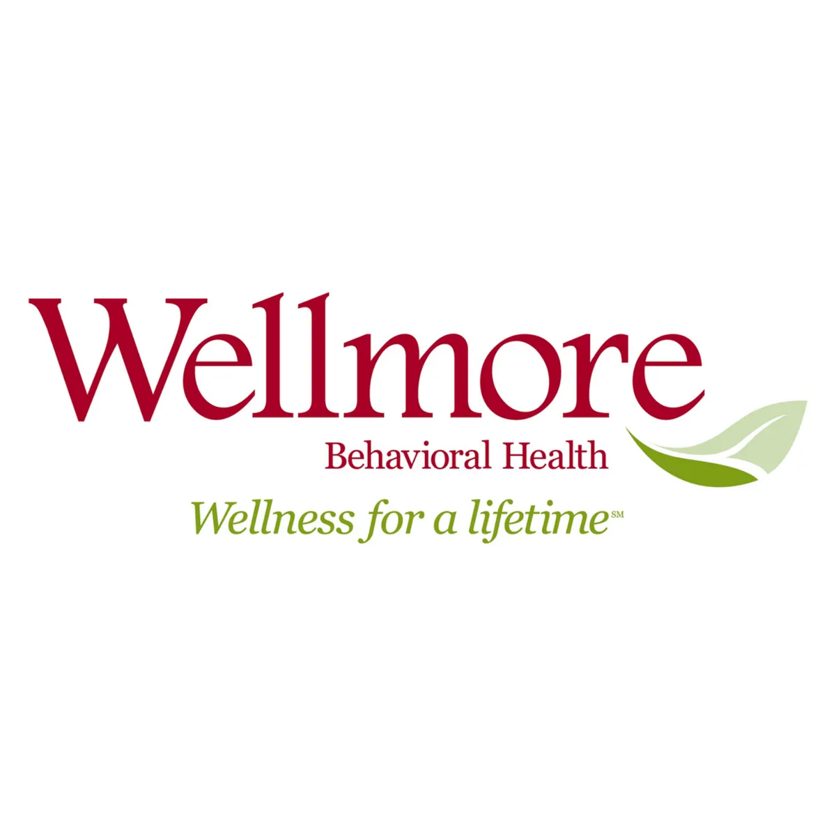 Wellmore Inc
